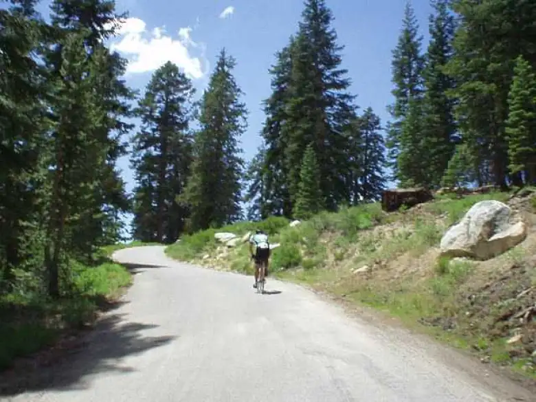 [Kaiser Pass, Mile 78.5, 1:50 p.m.] Another cyclist digging deep... the last couple of miles up Kaiser Pass got up to 18% grade.