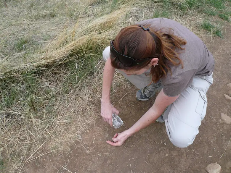 Tori finds a caterpillar.