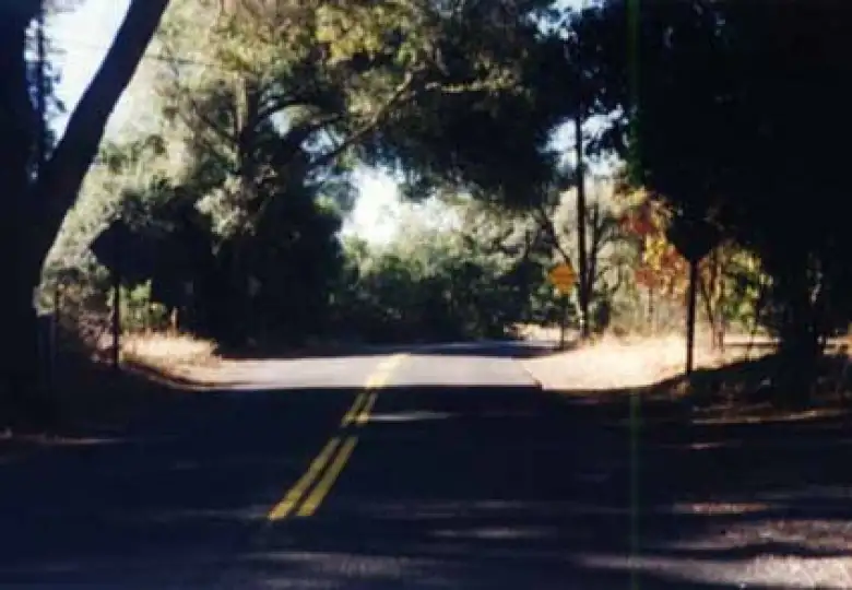 narrow empty shaded road