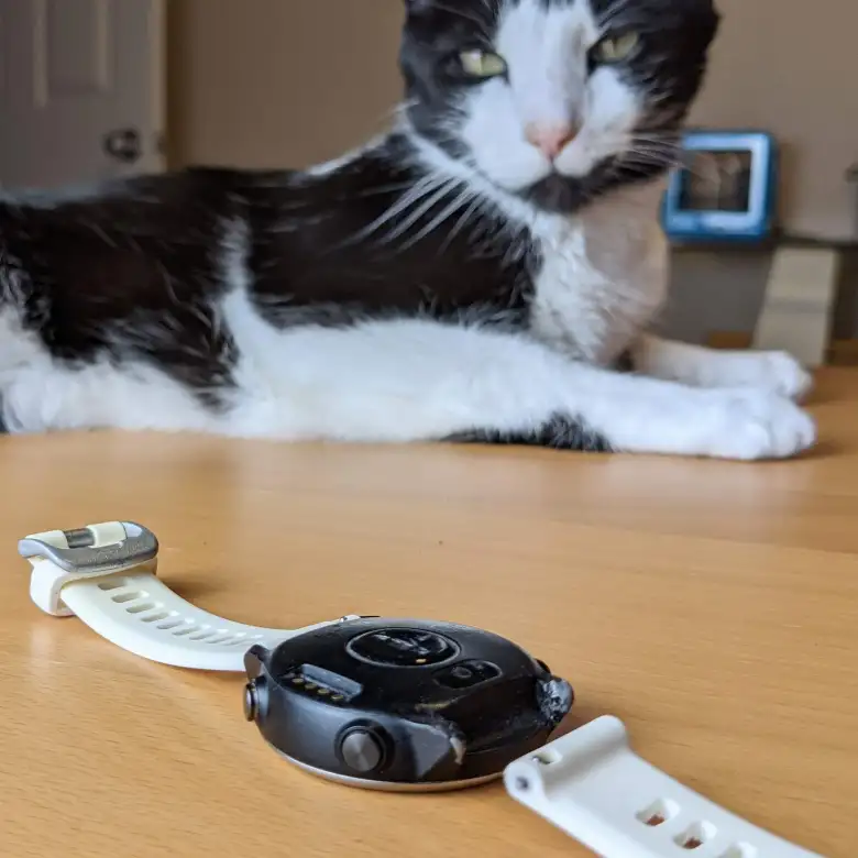 The Garmin Forerunner 645 Music watch, repaired with JB Weld epoxy. I'd later use a black Sharpie pen to 