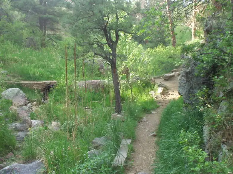 Northern Colorado is very lush at this time of year.