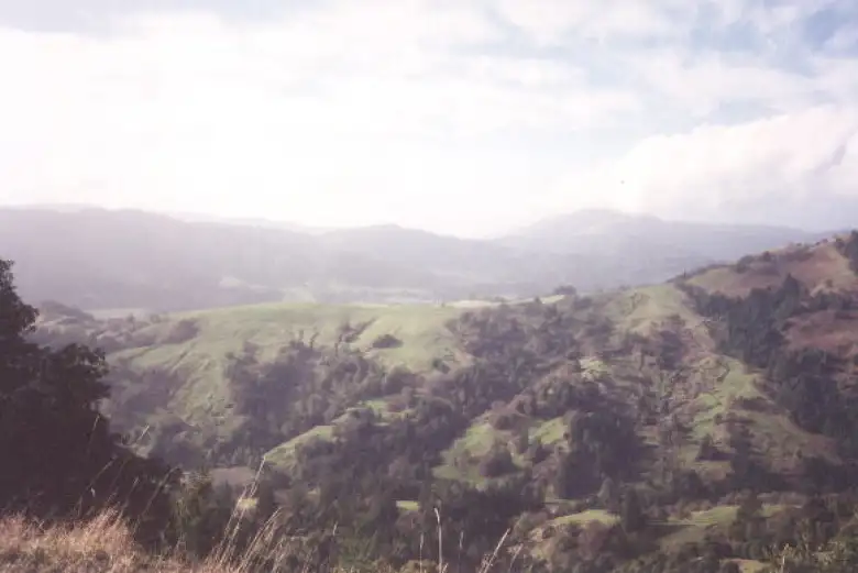 Rolling hillsides in the direction of the Lost Coast.