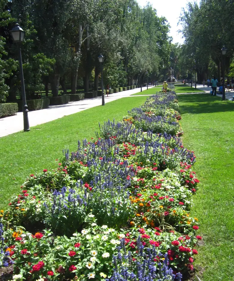 More flowers in el Parque del Retiro. More flowers in el Parque del Retiro.