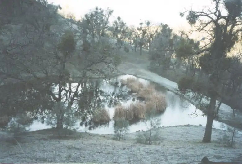 Ice in the pond! Ice in the pond!
