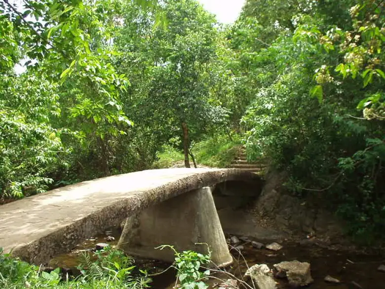 Bridge.