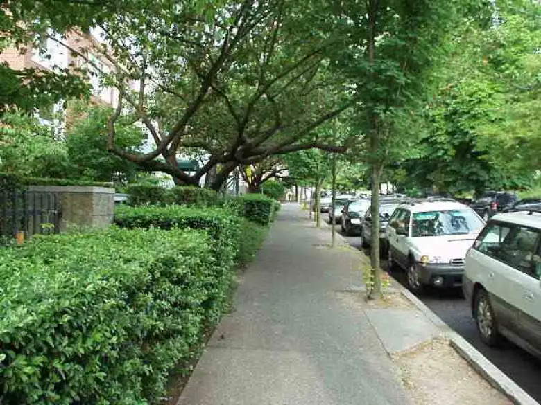 Even downtown Portland has lots of green trees.  This is the street in front of my friend Mike's apartment.