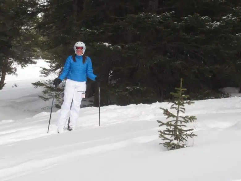 Kelly skiing through the trees for a little bit after going over a log. Kelly skiing through the trees for a little bit after going over a log.