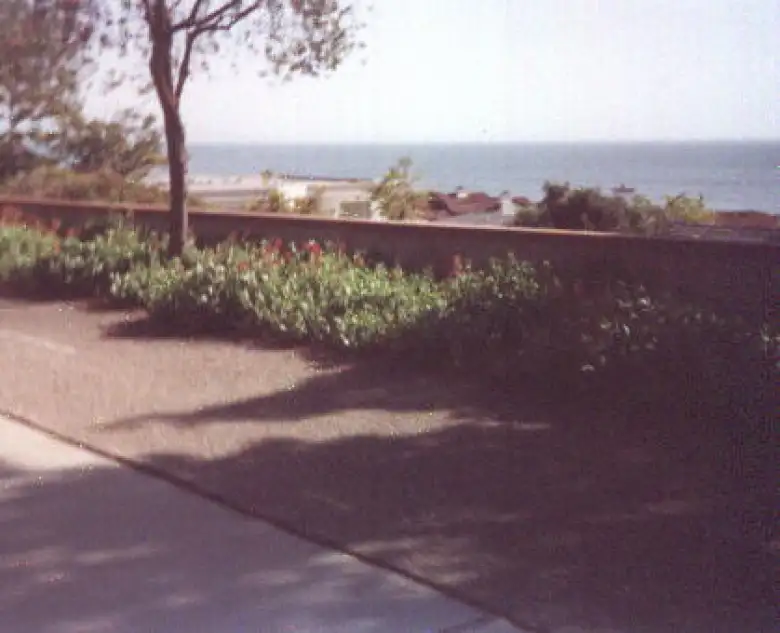 Pacific Coast, San Luis Obispo, 1999 Solvang Double Century.
