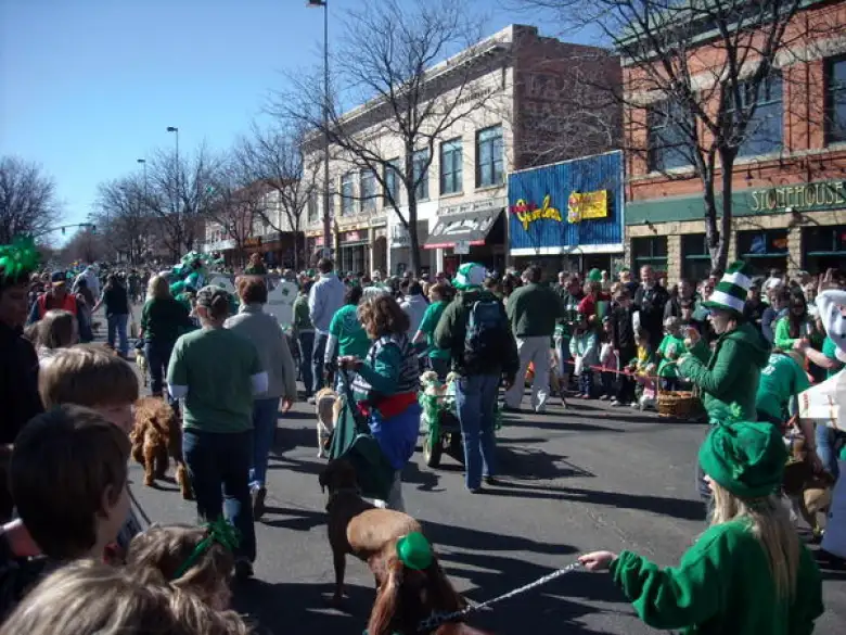 The Fort Collins Dog Network.