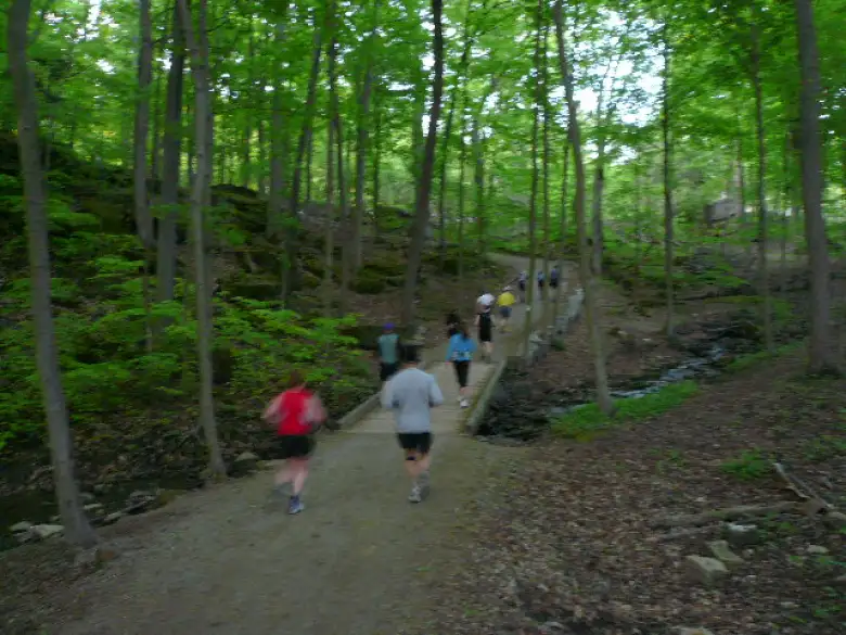 Thumbnail for Sulphur Springs 100