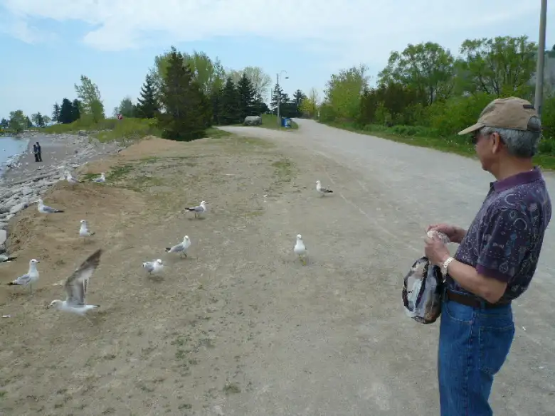 The next day, Stephen and I went to the Scarborough Bluffs to feed the birds. The next day, Stephen and I went to the Scarborough Bluffs to feed the birds.