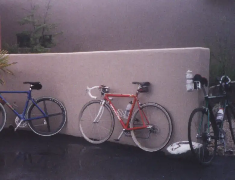 A particularly pretty picture of Canny, at the 1999 Solvang Double.
