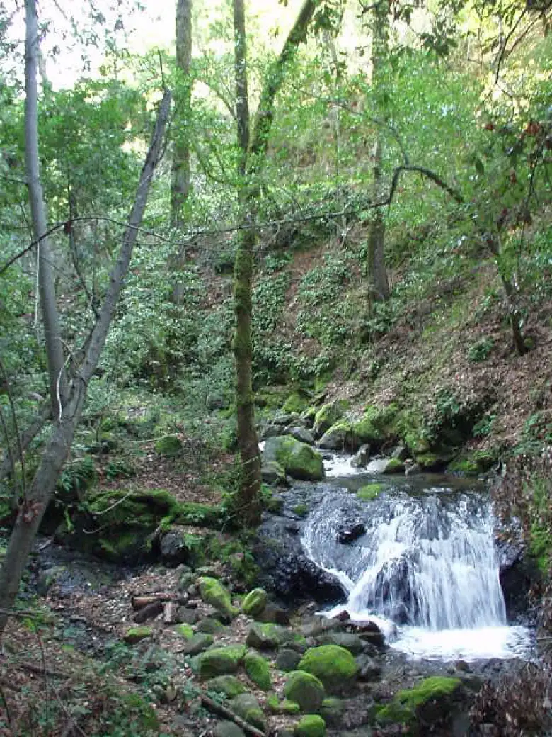 Ok, so the waterfalls aren't exactly Niagara Falls, as Adrian would joke, but they are still nice.  Here's one of the shorter ones...