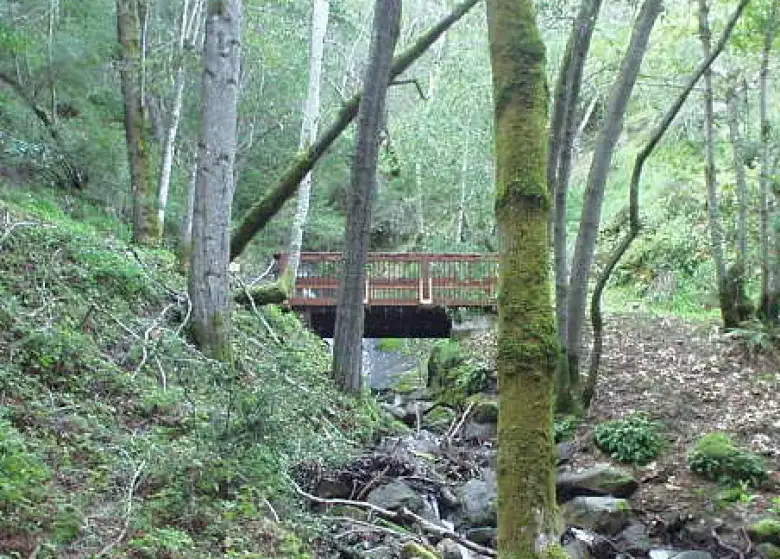 And a bridge...