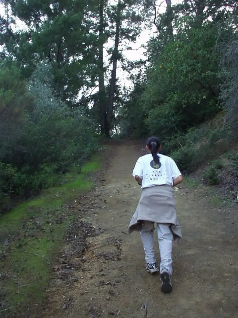 After the Black Rock Waterfall we went up a surprisingly steep 1/2-mile section to what we hoped would be a good lookout point.