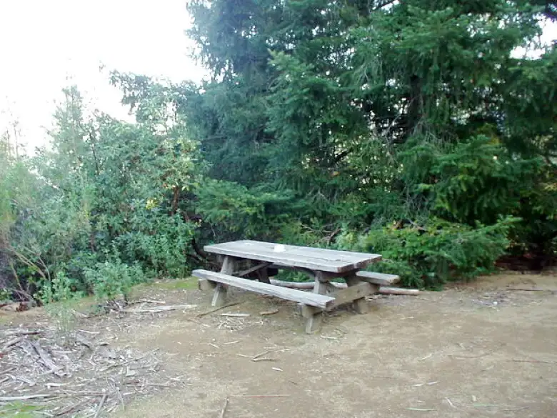 Instead, at the top we were greeted by the view of a picnic table with a cup on it.  Oh well.