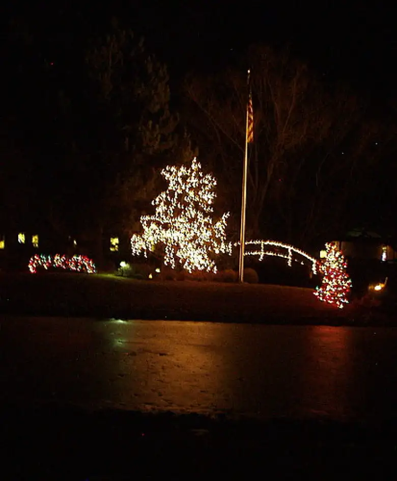 Thumbnail for Related: X-mas Lights Run (2006)