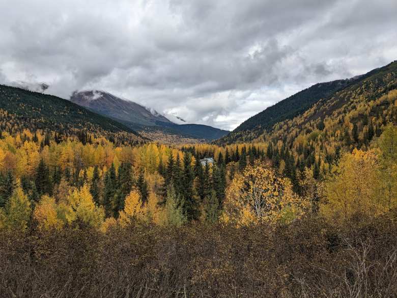 Gorgeous fall colors in the Chugach National Forest. Photo was taken off from the Seward Highway.