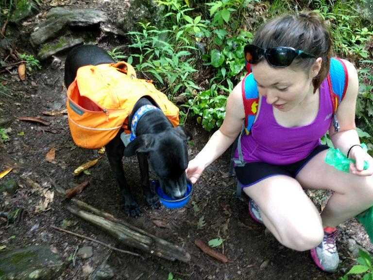 Maureen giving water to this dog we encountered named Teddy. Teddy and his mother were section-hiking the Appalachian Trail.