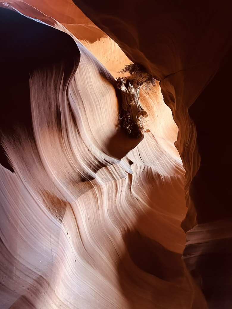 A tree log from a flash flood in last year still resides in this opening that was the basis for a Windows 7 theme.