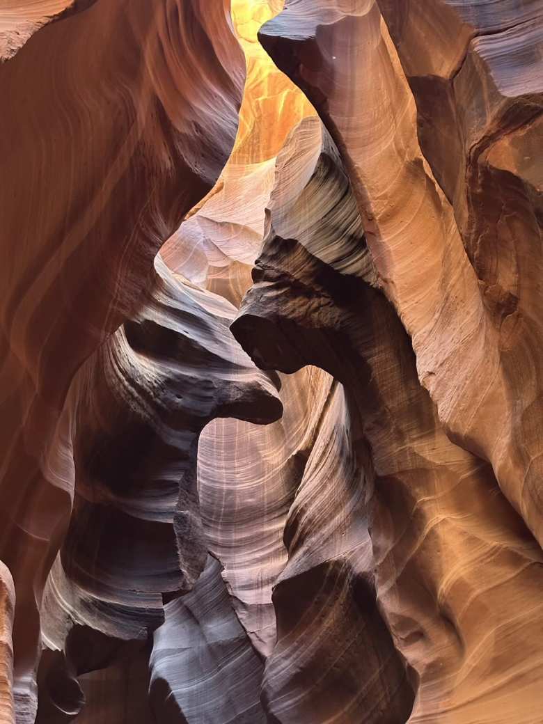 This almost looks like two horses kissing.