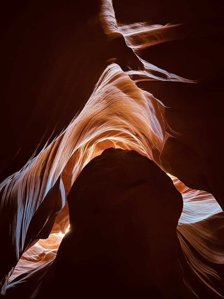 This resembled the cover art of the classic Jaws movie.