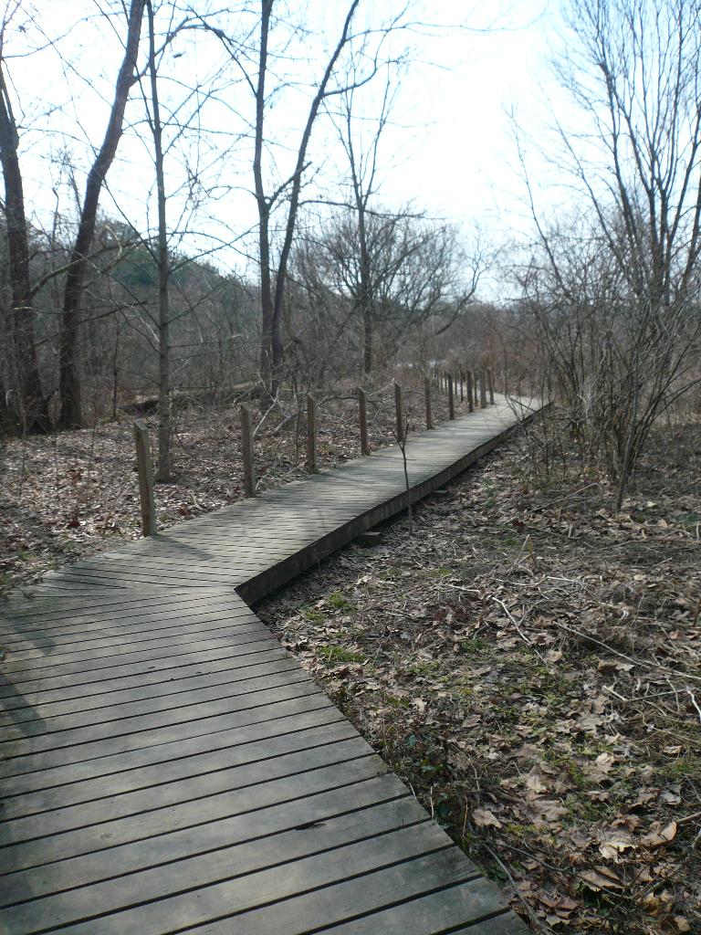 Boardwalk at the Beaver Lake Bird Sanctuary.