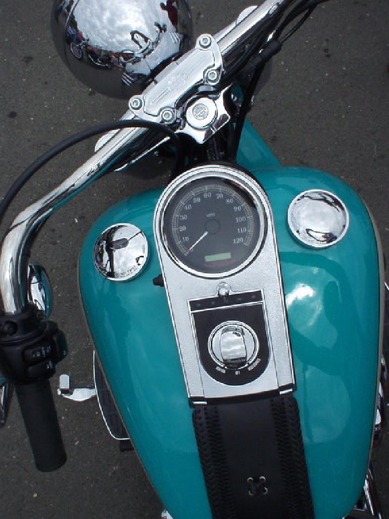 Gas tank detail of the Harley.