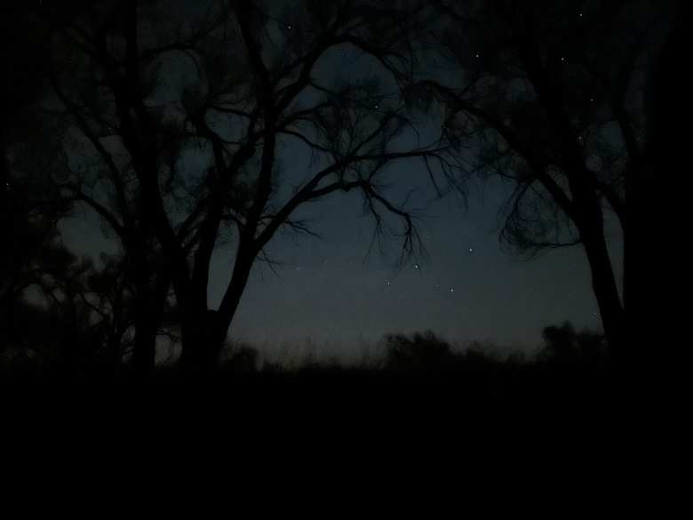 The view of the stars from my tent on the night of May 13, 2024. There was no aurora borealis visible despite claims of there being a chance to see one.
