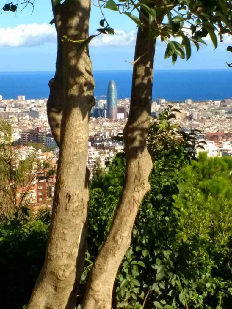 Torre Agbar as seen through trees from Park Güell in Barcelona, Spain, with the Balearic Sea in the backdrop.