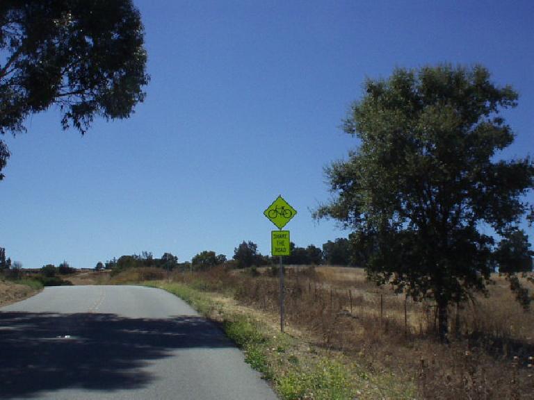 [Mile 118, 2:51 p.m.] Oh, the heat!  That combined with some climbing on Arastradero road, and I was slowly-but-steadily beginning to crack...