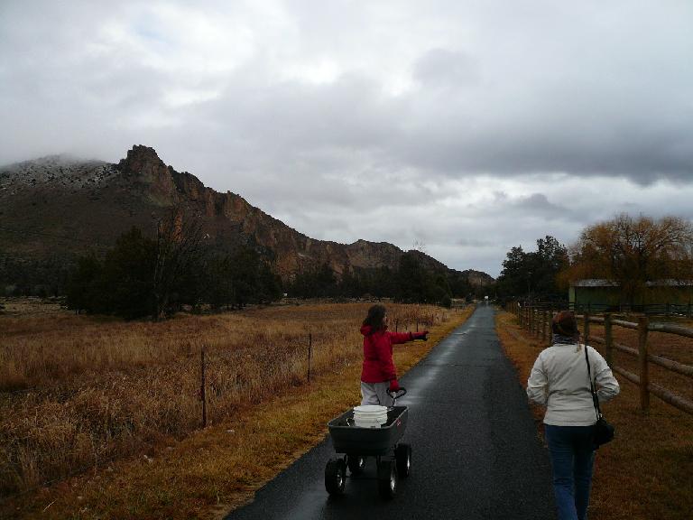 At the place we stayed at in Terrebonne, I went to feed the animals with Kimi and Tori.