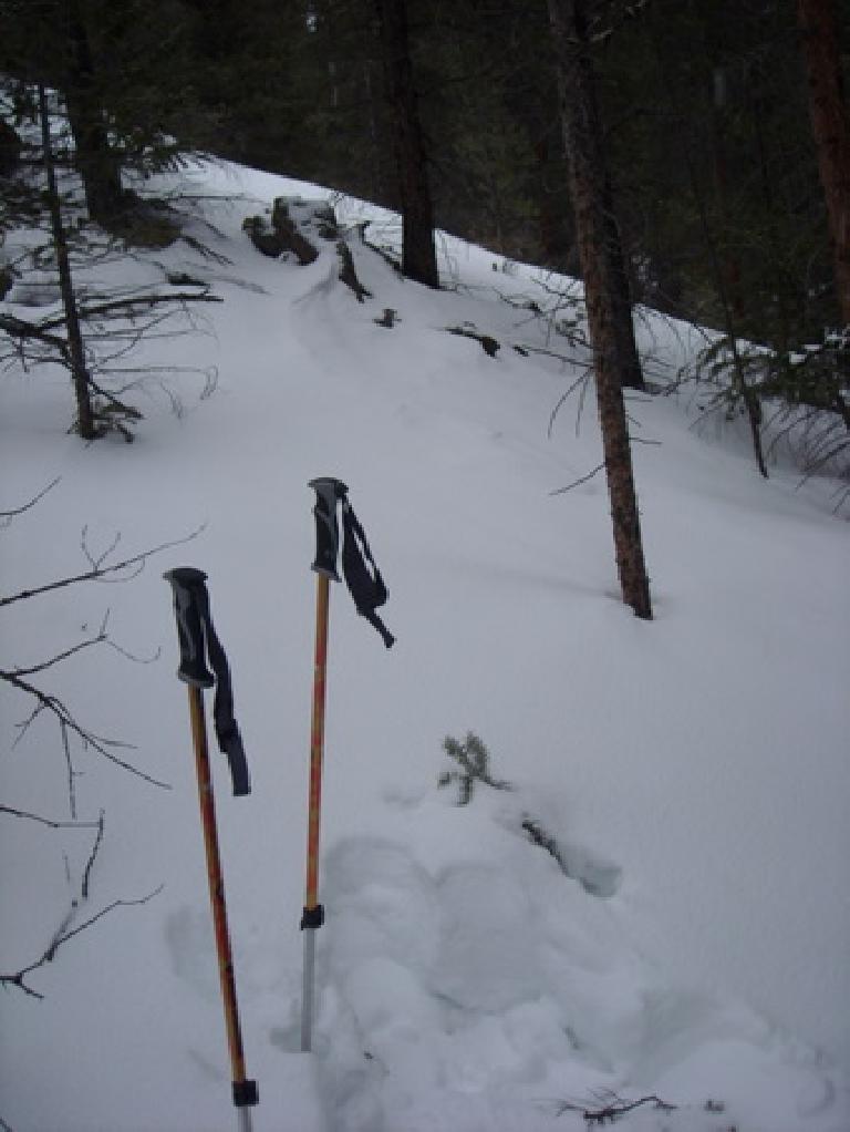 Ski poles in the snow.