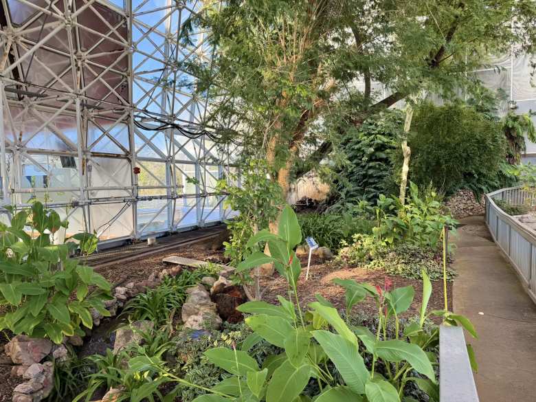 The Upper Savanna acted as a critical bridge between the rainforest and the coastal fog, originally designed to cultivate the seeds necessary to sustain the bird populations introduced into the habitat.