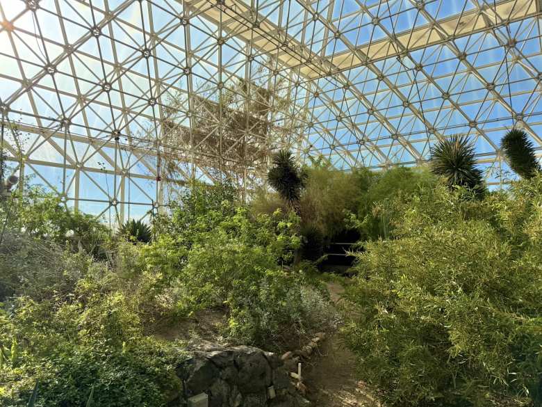 The Coastal Desert Fog biome recreated the humid, breezy microclimate of Baja California, where mist-shrouded flora thrives in a perfectly simulated seaside haze.