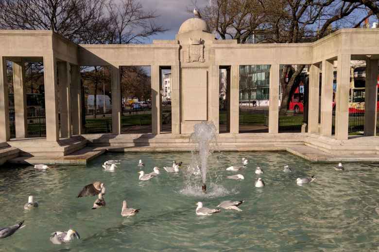 Ducks in a fountain in central Brighton and Cove.