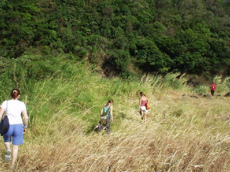 Making our way to a spot in the Caldera River in Boquete that is good for a little  swimming.