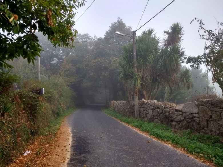 Foggy morning on the Camino de Fisterra.