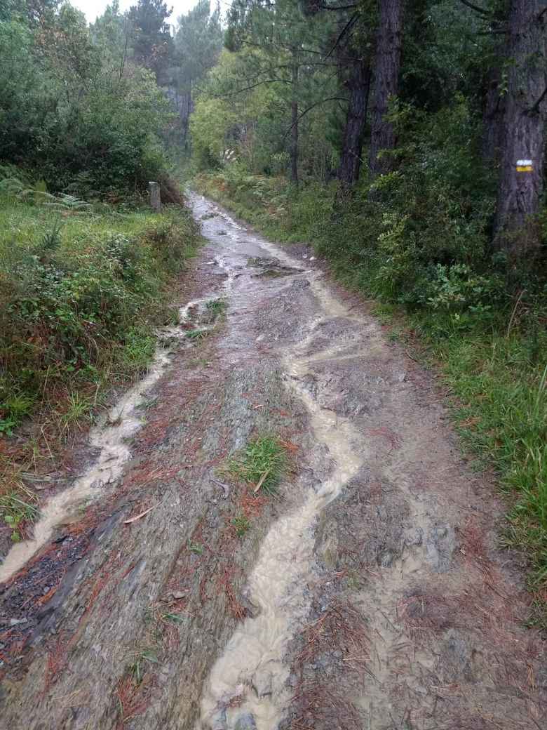 On the afternoon of Day 3, the rain finally came and it came hard. The trail started flooding a little bit.