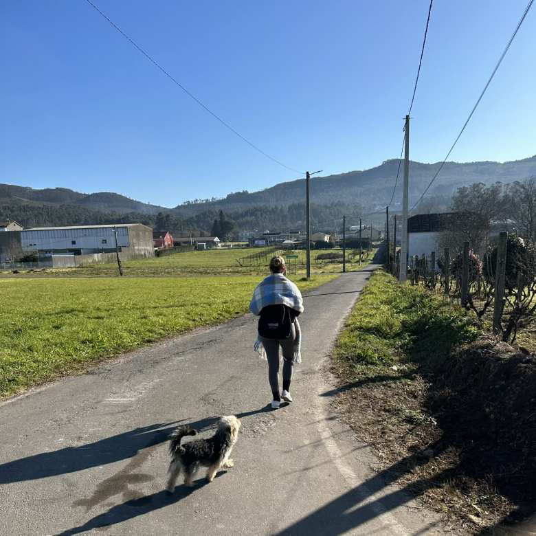 A dog following Andrea north of Padrón.