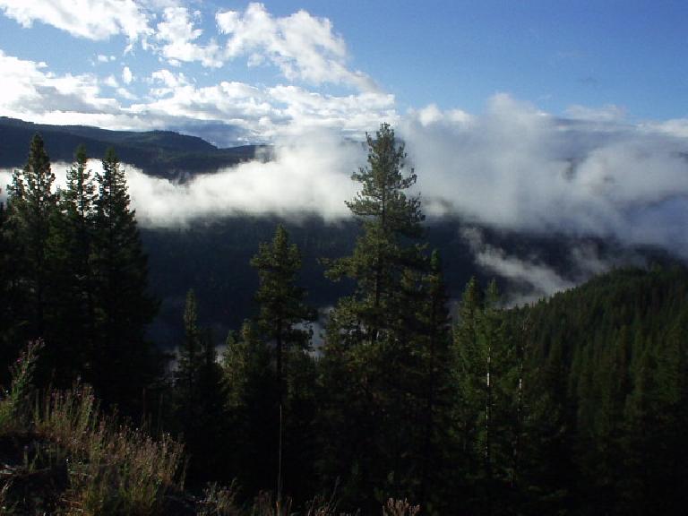 Low-hanging clouds formed just over the treeline. Low-hanging clouds formed just over the treeline.