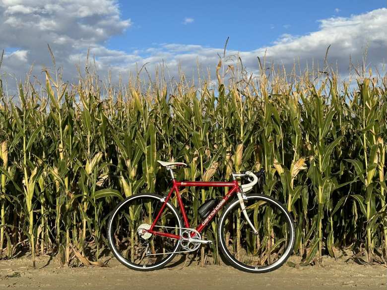 My Cannondale R500, newly converted to 1X, in front of some corn stalks. I took this photo when the cyclometer was still perched on top of the stem. I'd later relocate it to a position inline and in front of the stem.