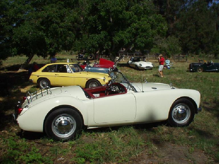 There was a good diversity of British sports cars at the Ardenwood Celtic Festival, including this MGA, MG B/GT, 2 MG TDs, my MGB, a Jaguar E-Type, and a Morgan.