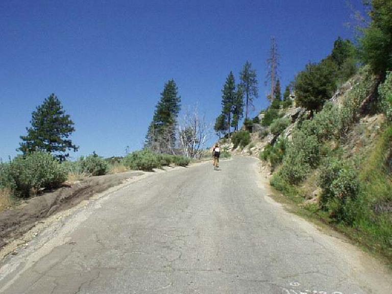 [Big Creek Grade, Mile 63, 11:17 a.m.] Does this look steep to you?  Big Creek Rd. had sustained sections of 15%, and a steepest grade of 20%!  Here's a fellow cyclist digging deep.