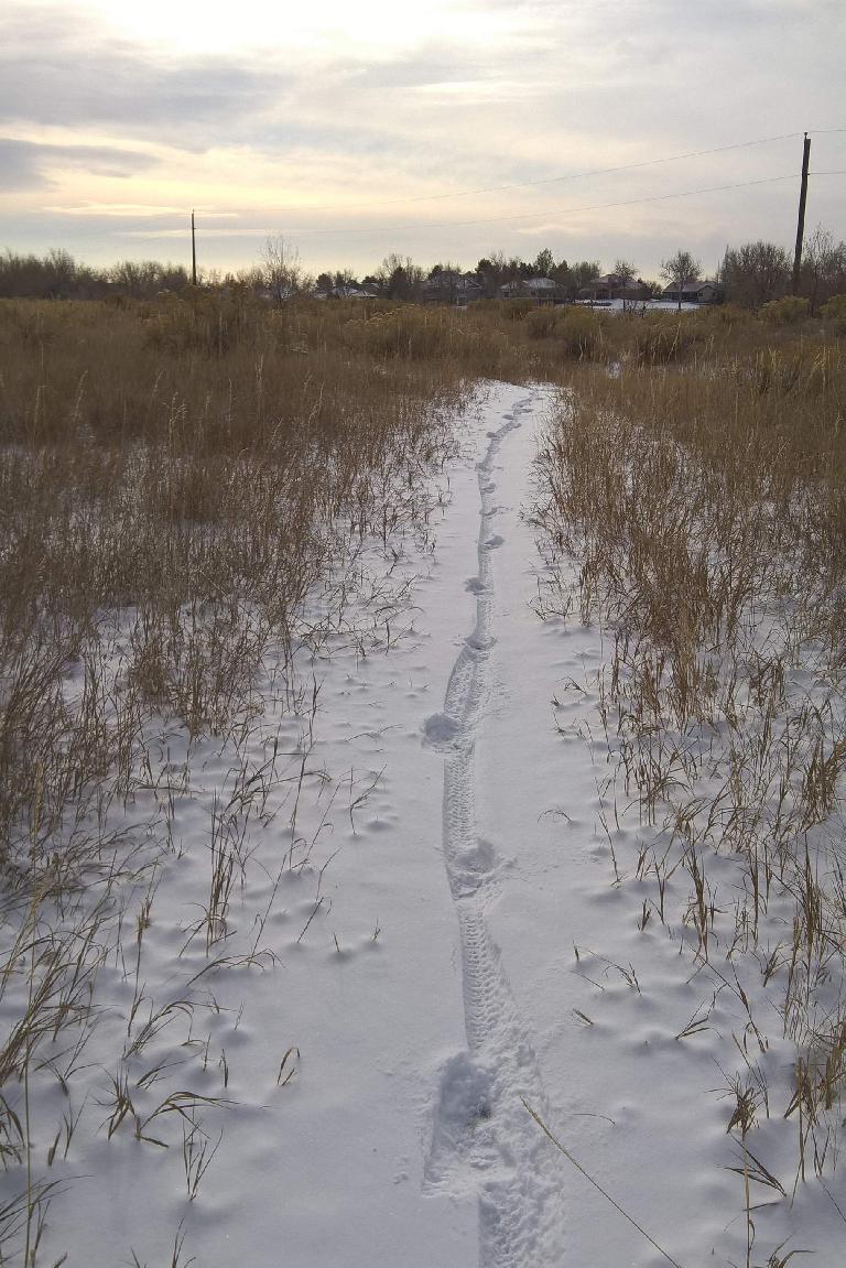 mountain bike tracks, footsteps, snow on trail, Hearthfire, Fort Collins