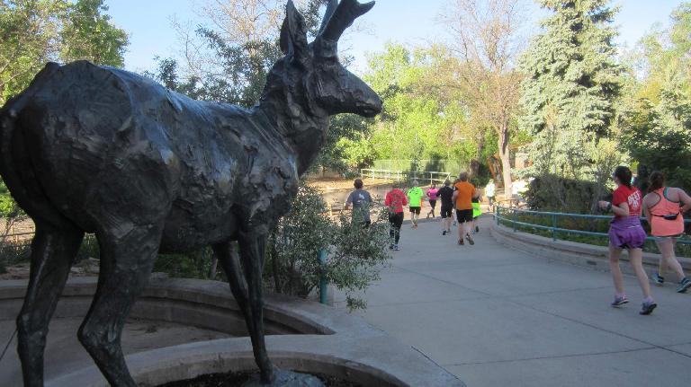 moose statue, Denver Zoo, 2015 Colfax Half Marathon
