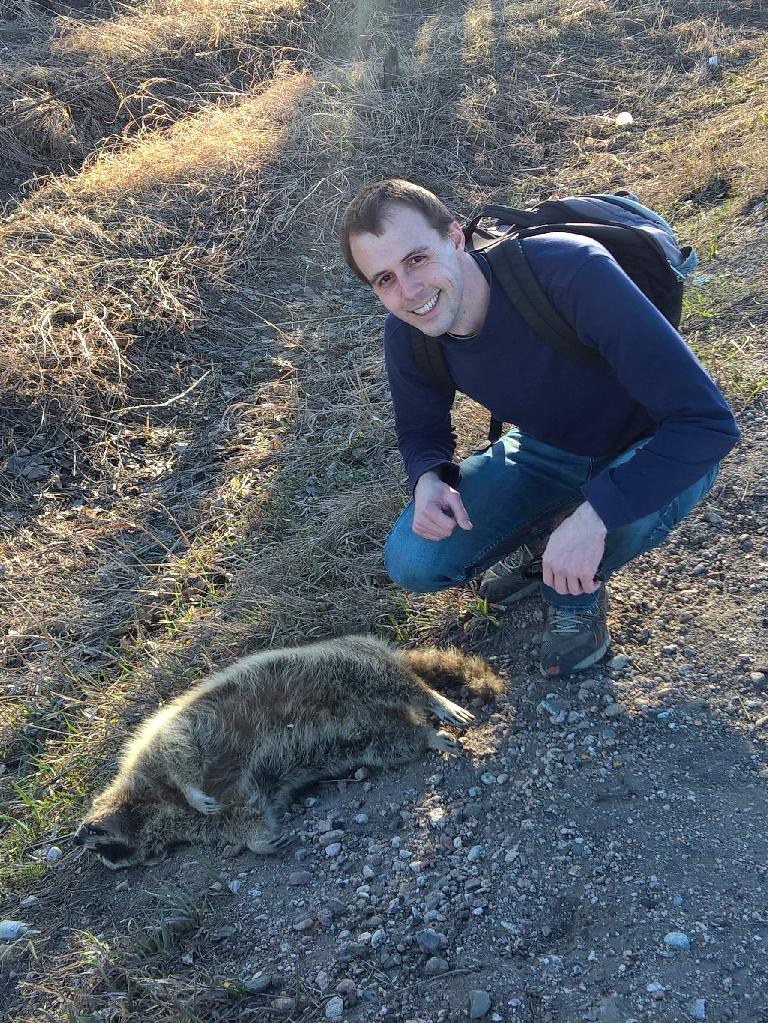 Alberto François, dead raccoon
