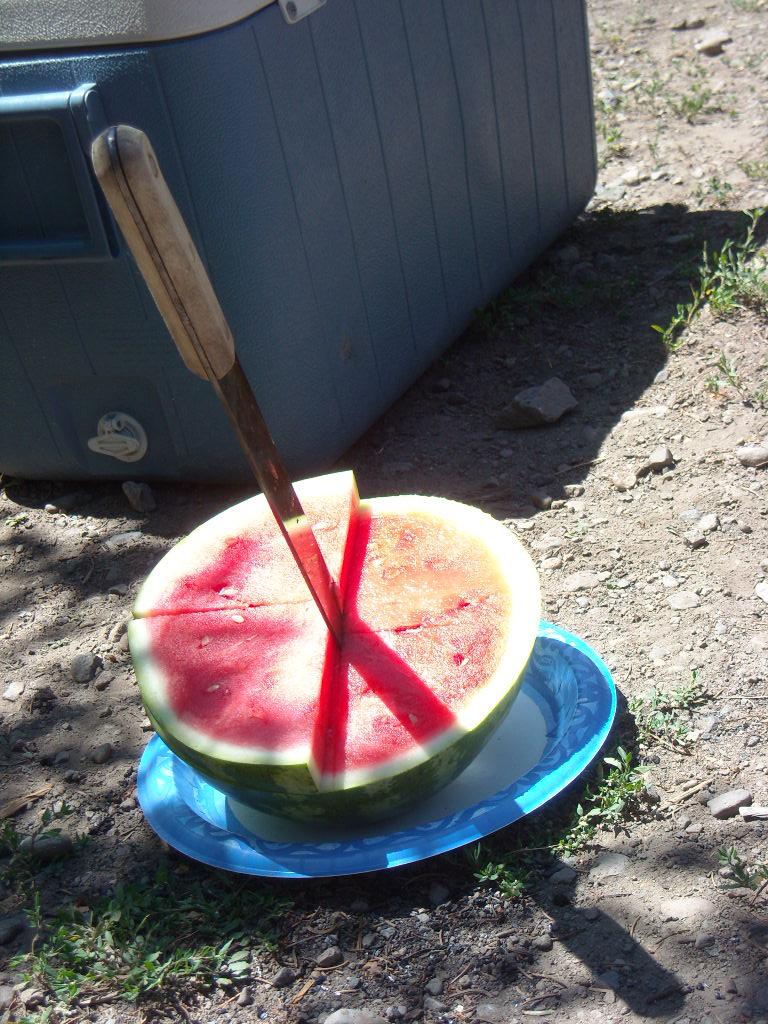 Stabbing the watermelon.