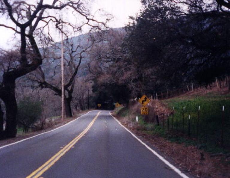 uphill road, 1999 Davis 200k Brevet
