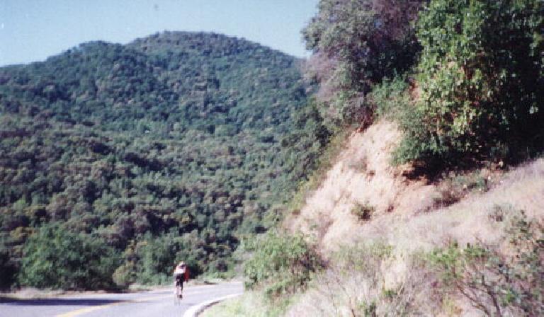Following Daniel Lieb through some rolling hills of the 1999 Davis Double Century.